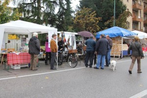 2014-11-09 CAMPALTO MESTRE ARROTINI VAL RESIA (7)